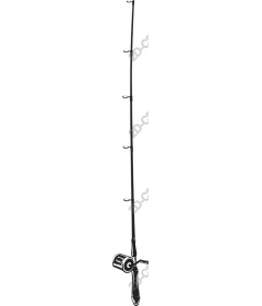  The rod and reel
