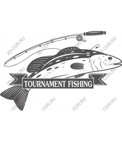  The fishing tournament