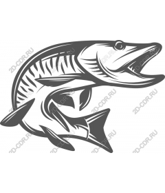  Cruel job fish