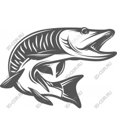  Fierce fish