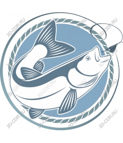  Catch of the day: Fish