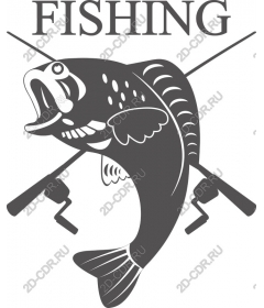 Fishing adventure