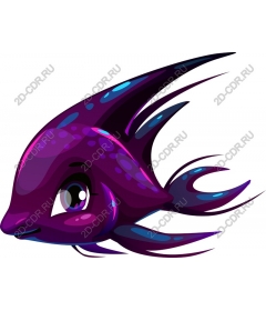  Colorful purple fish