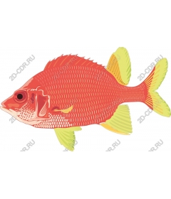  Bright fish