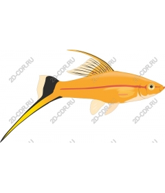  Bright yellow fish