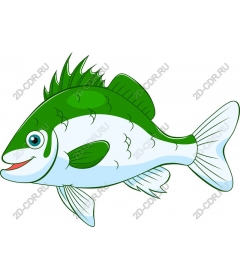 Fancy green fish