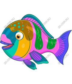 Colorful cartoon fishes