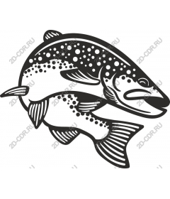  Trout
