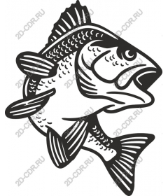 Dynamic bass