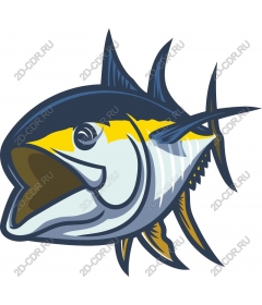  Bright tuna