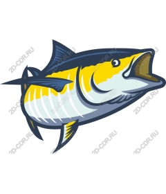  Bright tuna