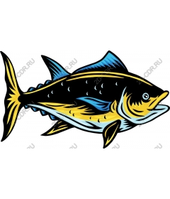 Yellowfin tuna