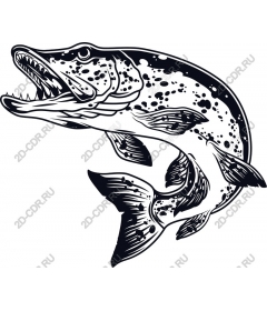  Ferocious pike