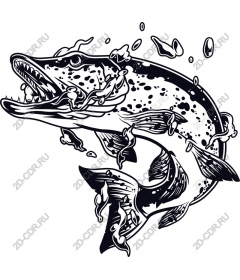  Fierce fish