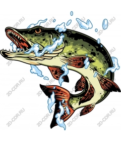 Dynamic pike