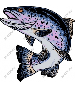  Bright trout