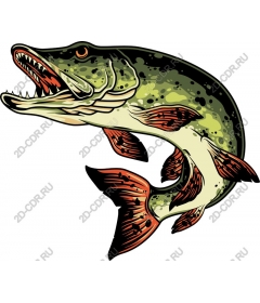  Ferocious pike