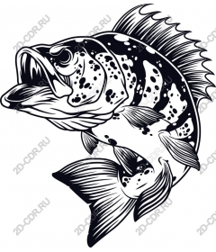  Ferocious bass