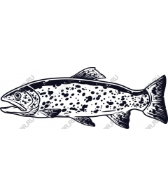 Trout - Aquatic art