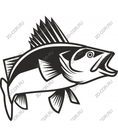 Dynamic fish