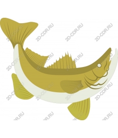  Stylish Fish