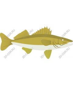 Stylized fish
