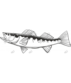 Premium fish