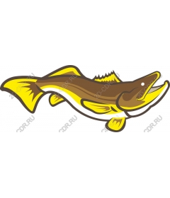 Яркая рыба