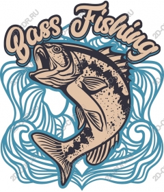 Perch fishing