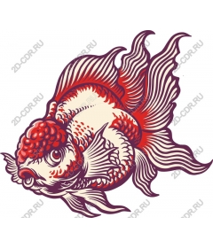  Vivid goldfish