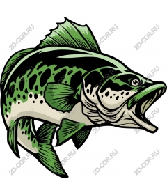  Trophy trout