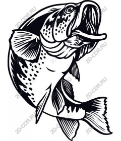 Largemouth bass