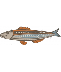  Bright water fish