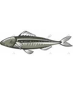 Premium fish