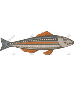 Vintage fish