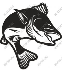  Bass