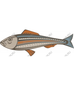  Adorable Fish
