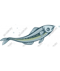Vintage fish