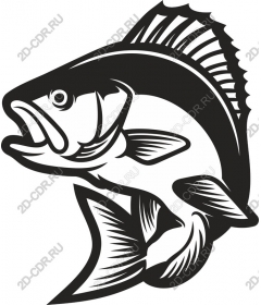 Bass-fish - water dynamic creative use