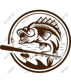  Catch of the day Fishing