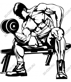 Dynamic training bodybuilder