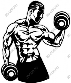 Dynamic lift dumbbells - Fitness