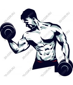 Dynamic weightlifting