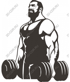  Fitness for muscular lifters