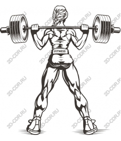  Fitness Powerlifting