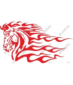 The head of the fire horse