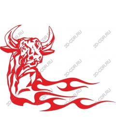  Fierce Red Bull