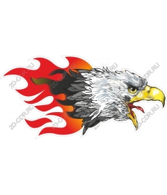  Fire Eagle