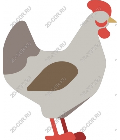 Charming chicken