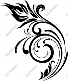  Elegant floral pattern